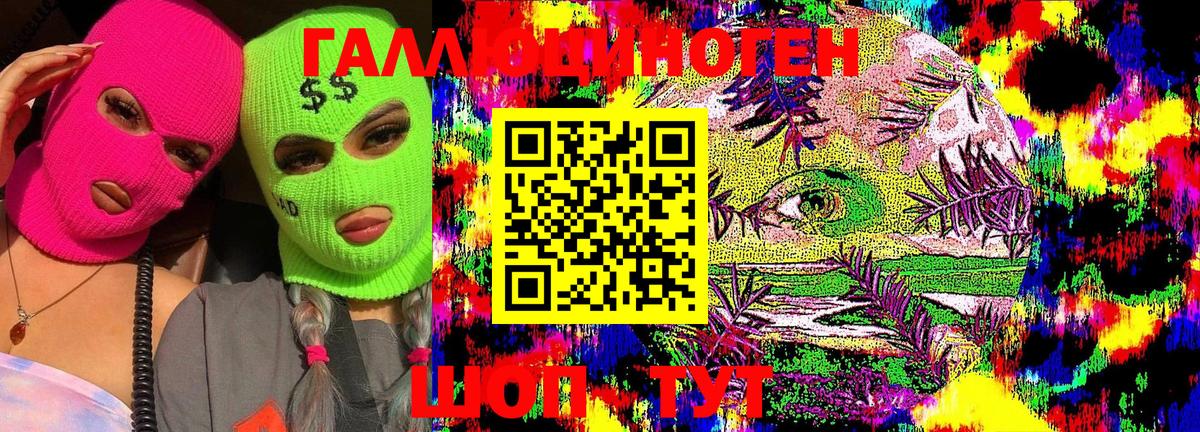 Псилоцибиновые грибы Psilocybine cubensis  Вход с VPN  Гай 